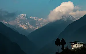 Life Prints: Long Life Peak. Creator: Dorte Verner