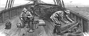 Souwester Prints: Long-line fishing in the North Sea, on deck baiting the lines, 1886. Creator: Unknown