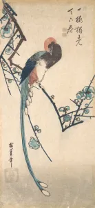 Long Tailed Bird. Creator: Ando Hiroshige