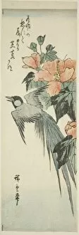 Chutanzaku Gallery: Long-tailed bird and hibiscus, 1830s-1840s. Creator: Ando Hiroshige