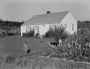 On the Longview homesteads (FSA) initiated in 1934, Cowlitz County, Washington, 1939. Creator: Dorothea Lange