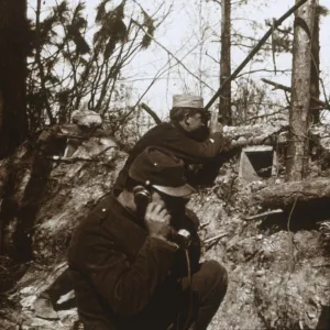 Look Out Post Prints: Look-out post, Bois-le-Pretre, northern France, c1914-c1915