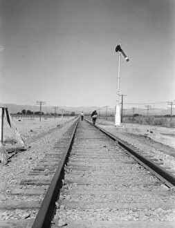Bindlestiff Collection: Looking east down the railroad track, near Calipatria, California, 1939. Creator: Dorothea Lange