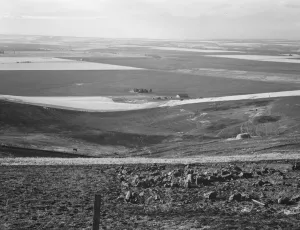 Wheatfield Prints: Looking down the newly plowed wheat fields of the Umatilla Valley