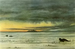 Evans Gallery: Looking North in McMurdo Sound, 1911, (1946). Creator: Edward Wilson