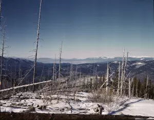 Timber Gallery: Looking north from the Sangre de Cristo Mountains above Penasco, New Mexico, 1943