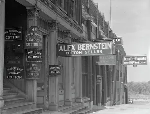 Looking down Union Avenue, Memphis, Tennessee, 1937. Creator: Dorothea Lange