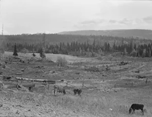 Enclosure Prints: Looking over the Unruf farm from the barn