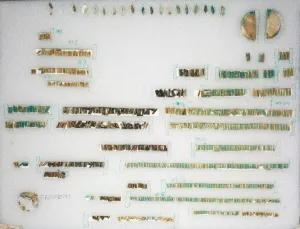 Middle Kingdom Prints: Loose Beads and Two Terminals, 1980-1801 BC. Creator: Unknown