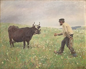 Catching Prints: A loose cow, 1890. Creator: Hans Michael Therkildsen