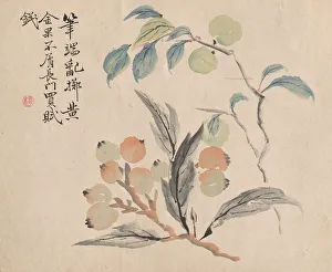 Loquat Tree of Japan. Creator: Tsubaki Chinzan (Japanese, 1801-1854)