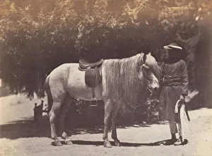 Charles Canning 1st Earl Canning Prints: Lord Cannings Hill Pony, 1858-61. Creator: Unknown
