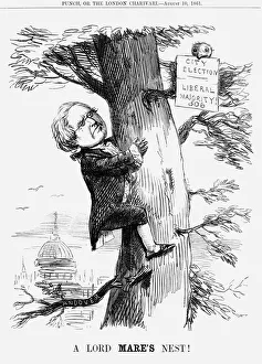 A Lord Mares Nest!, 1859 A Lord Mares Nest!, 1859