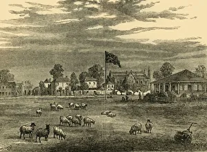 St Johns Wood Prints: Lords Ground in 1837, (c1876). Creator: Unknown