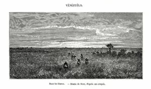 Los Llanos, Venezuela, 19th century. Artist: Edouard Riou