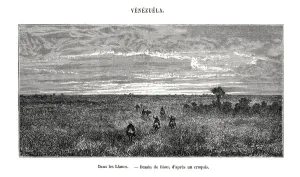 Venezuela Prints: Los Llanos, Venezuela, 19th century. Artist: Edouard Riou