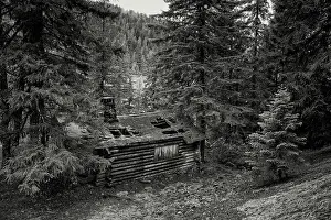 Pacific North West Prints: Lost and Forgotten. Creator: Joshua Johnston