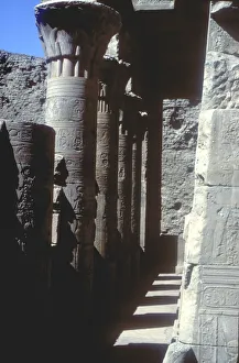 Lotus Prints: Lotus capitals, Temple of Horus, Edfu, Egypt, Ptolemaic Period, c251 BC-c246 BC