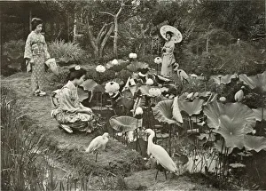 In Lotus-Land, 1910. Creator: Herbert Ponting