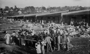 Refuge Prints: Louisiana Flood 1912, Cotton Compress at Vicksburg as a refuge