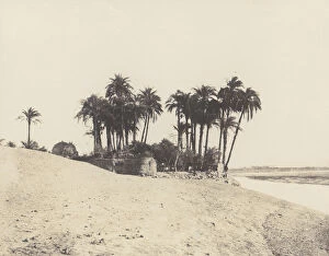 Date Palm Gallery: Louksor, Dattiers et Jardin de l Expedition du Louksor, 1851-52, printed 1853-54