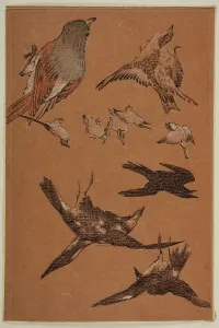 Crow Prints: Love leading the Pilgrim - Study of Birds