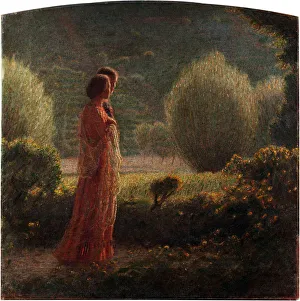 Tenderness Prints: The Love of Life