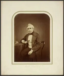 Seashell Prints: Lovell Reeve, F.L.S. 1854-1865. Creator: Maull & Polyblank