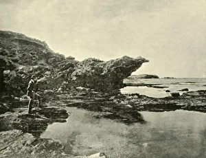 Low Tide, Shelly Beach, Warrnambool, 1901. Creator: Unknown