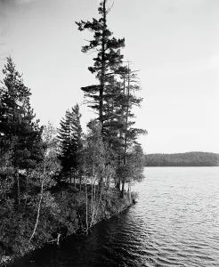 Adirondacks Prints: Lower St. Regis Lake, Adirondack Mts. N.Y. between 1900 and 1905. Creator: Unknown