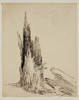 Ageing Prints: Lower Part of a Tree 'Recently Fallen', 1825. Creator: Thomas Cole