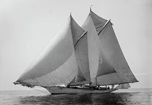 Spinnaker Prints: Loyal, 1894 Aug 11. Creator: Johns Johnston
