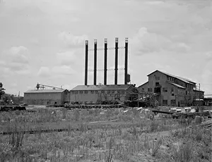 Deserted Prints: Lumber mill being dismantled, Careyville, Florida, 1937. Creator: Dorothea Lange