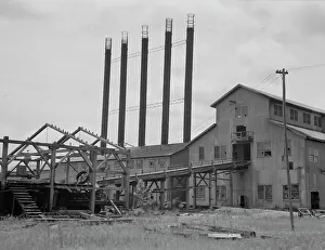 Deserted Prints: Lumber mill being dismantled at Careyville, Florida, 1937. Creator: Dorothea Lange