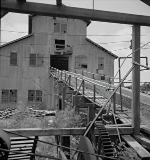 Deserted Prints: Lumber mill which is being dismantled, Careyville, Florida, 1937. Creator: Dorothea Lange