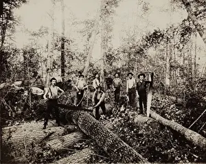 Logging Prints: Lumbering Days in Ludington, Michigan, 1890. Creator: H. J. Hansen