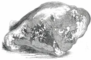 Gold Rush Prints: Lump of Gold from California - value £500, 1850. Creator: Unknown