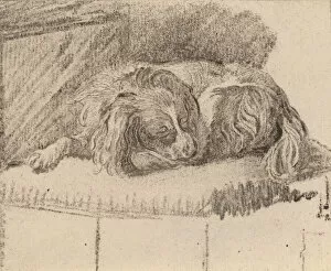 Cornelis Ploos Van Amstel Collection: Lying Dog, 1777. Creator: Cornelis Brouwer
