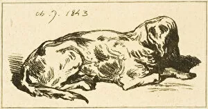 Lying Dog, 1843. Creator: Charles Emile Jacque