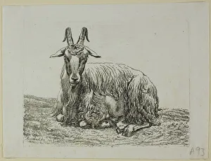 Laying Prints: Lying Goat, from Die Zweite Thierfolge, 1800. Creator: Johann Christian Reinhart