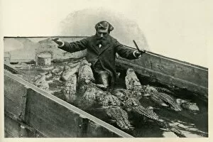 Obedience Gallery: M. Pernelet and his Pets, 1902. Creator: Unknown