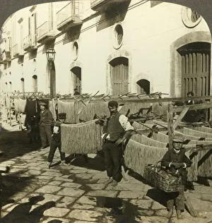 Local Industry Prints: Macaroni drying in the dirty streets of Naples, Italy, c1909. Creator: Unknown