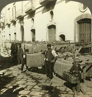 Production Gallery: Macaroni drying in the dirty streets of Naples, Italy, c1909. Creator: Unknown