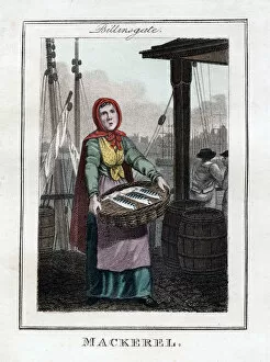 Billingsgate Wharf Gallery: Mackerel, Billingsgate, London, 1805