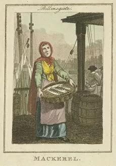 Craig Gallery: Mackerel, Cries of London, 1804