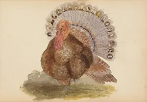 The Madame B Album, 1870s. Creator: Marie Blanche Hennelle Fournier