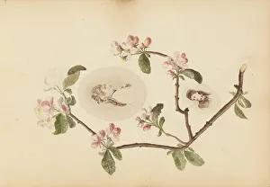 The Madame B Album, 1870s. Creator: Marie Blanche Hennelle Fournier