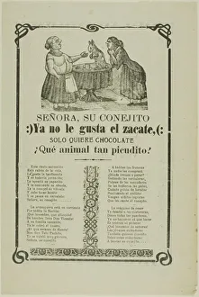 Madame, Your Little Rabbit... n.d. Creator: Manuel Manilla