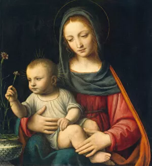 Images Dated 25th February 2021: The Madonna of the Carnation, c. 1515. Creator: Bernardino Luini