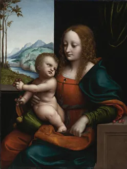 Madonna of the Cherries. Artist: Giampietrino (1 Half of 16th cen. )